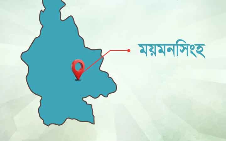 ফুলবাড়িয়ায় বজ্রপাতে কলেজছাত্রী ও কৃষকের মৃত্যু